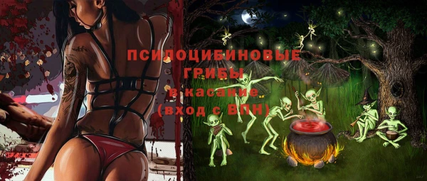 ECSTASY Белокуриха
