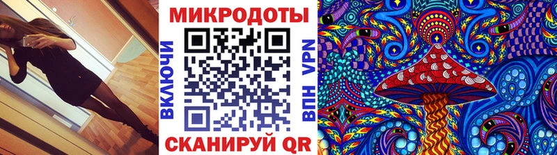 kraken сайт  Высоцк  Псилоцибиновые грибы мицелий 
